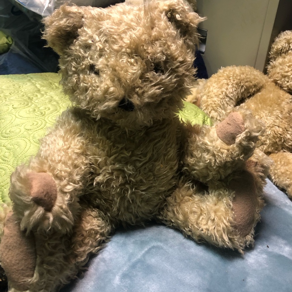 12 in tan bear. New has been stored.